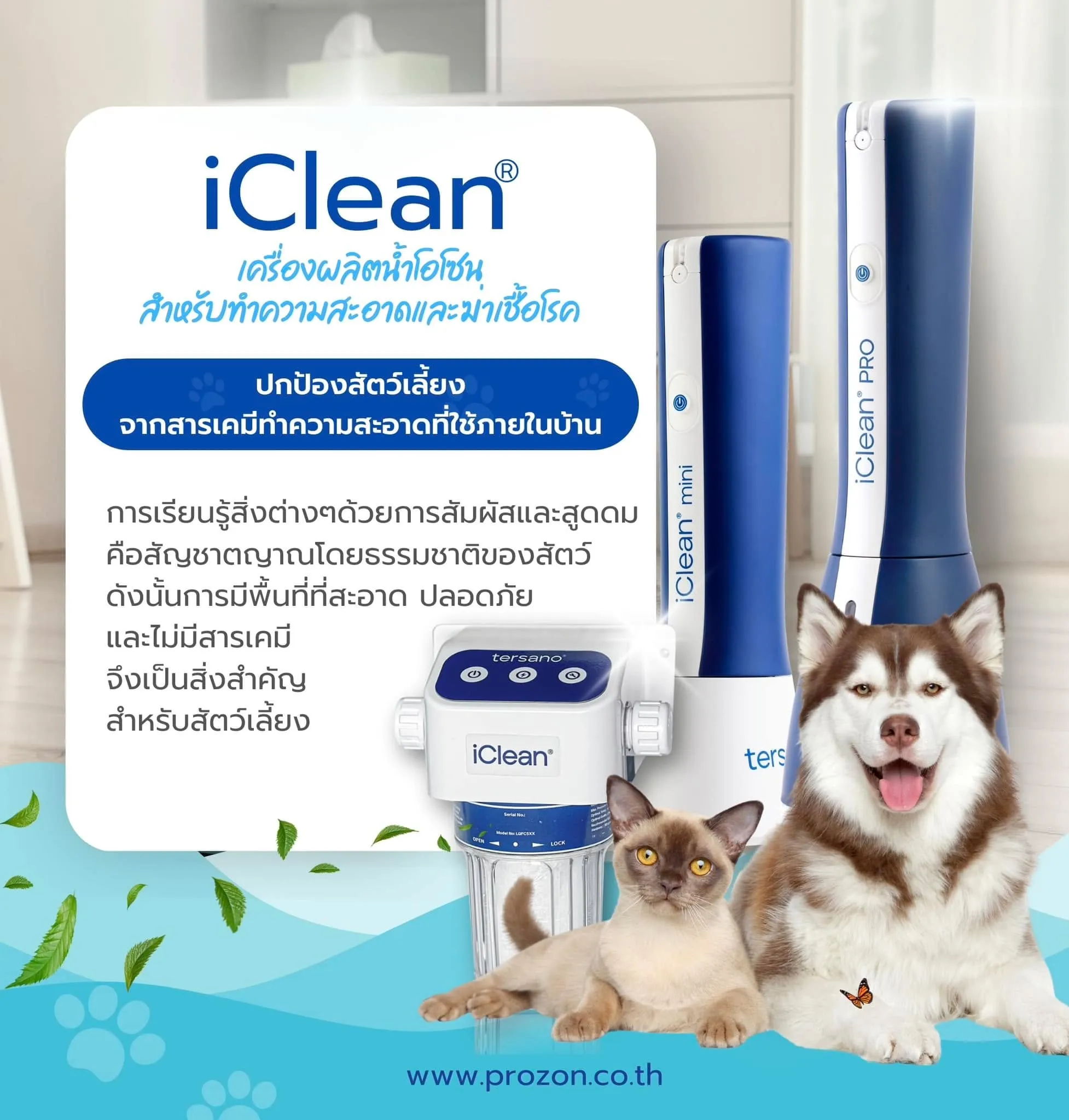 Cleaning your home is good, but if done incorrectly, it could impact your health...