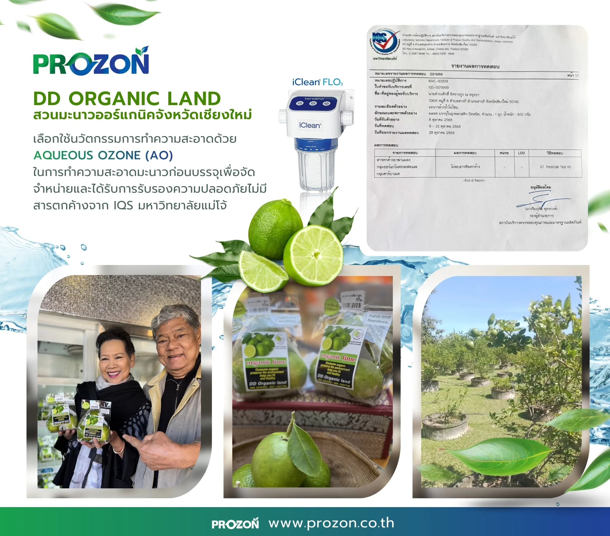 DD Organic Land - Organic lime from Chiang Mai: Safe & Clean with Advanced Aqueous Ozone Technology